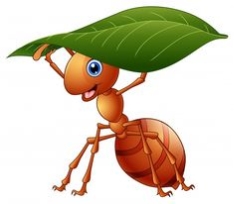 Пин содержит это изображение: Premium Vector | Vector illustration of cartoon ant holding a green leaf